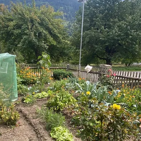 Casa Vegana 3*
